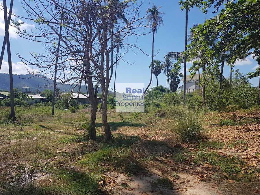 12,424 Sqm of Flat Land, by Chaweng Beach